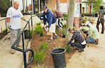 Turn Your Yard into an Ocean-Friendly and Drought-Tolerant Landscape