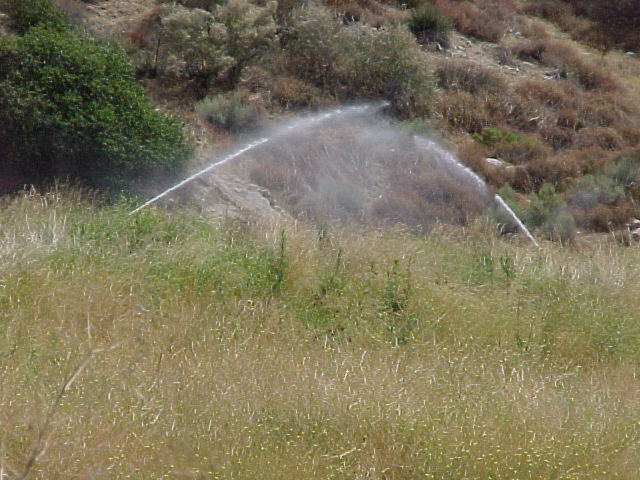 Photo 5-6. Spray Irrigation Field