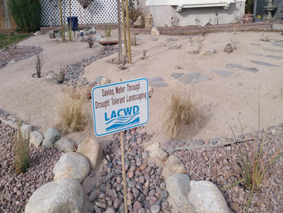 Water-Efficient Landscape