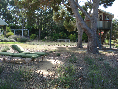 Water-Efficient Landscape