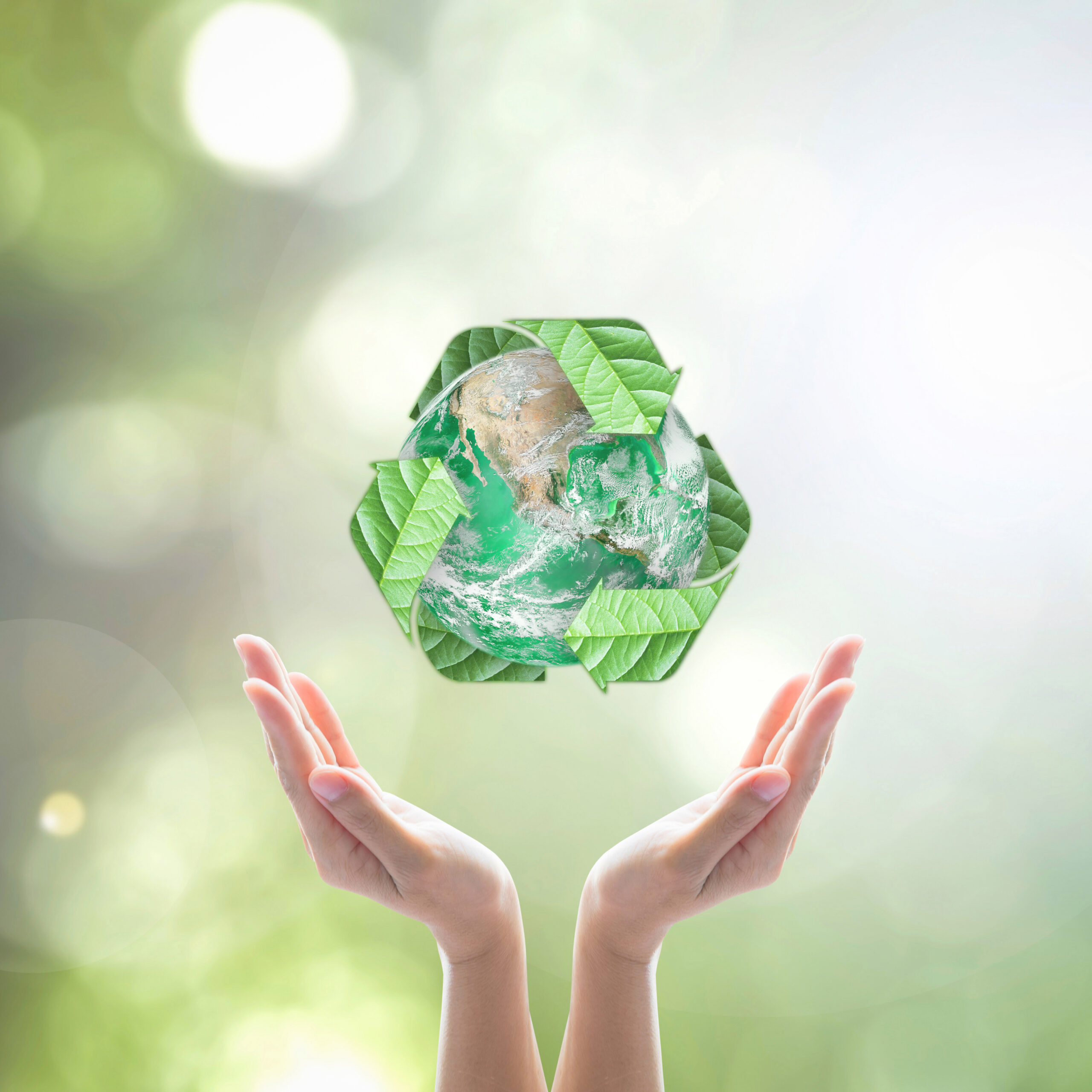 Green Products Image