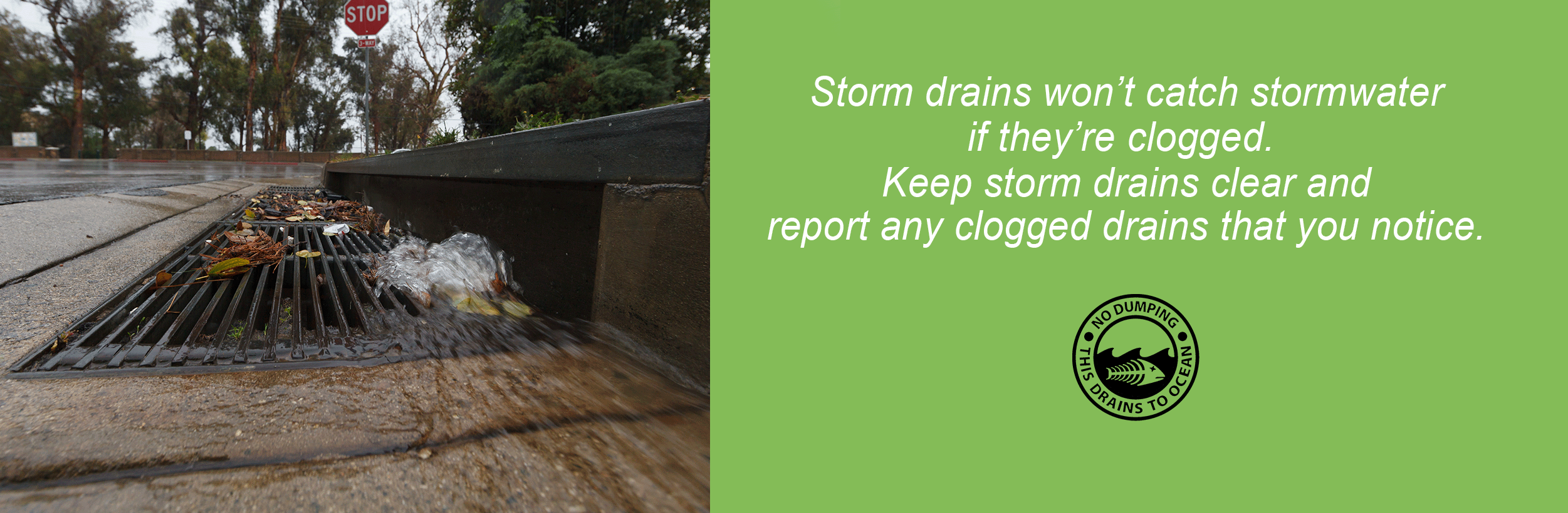 Manage Election Anxiety: Watch Post 10 Unclog Storm Drains