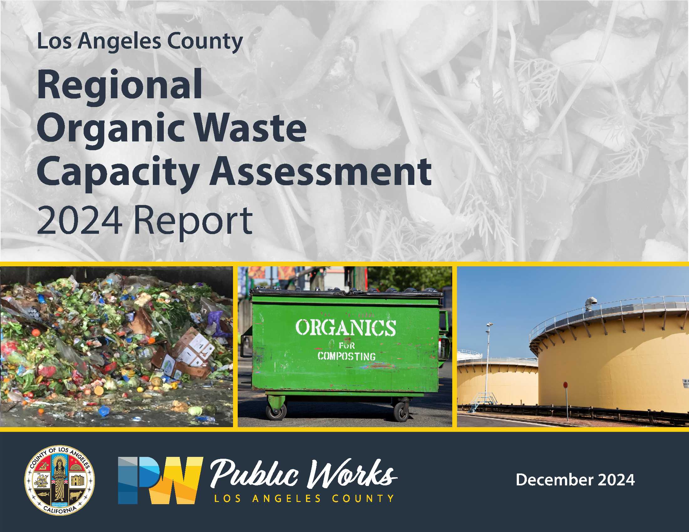 2024 Regional Organic Waste Capacity Assessment Report