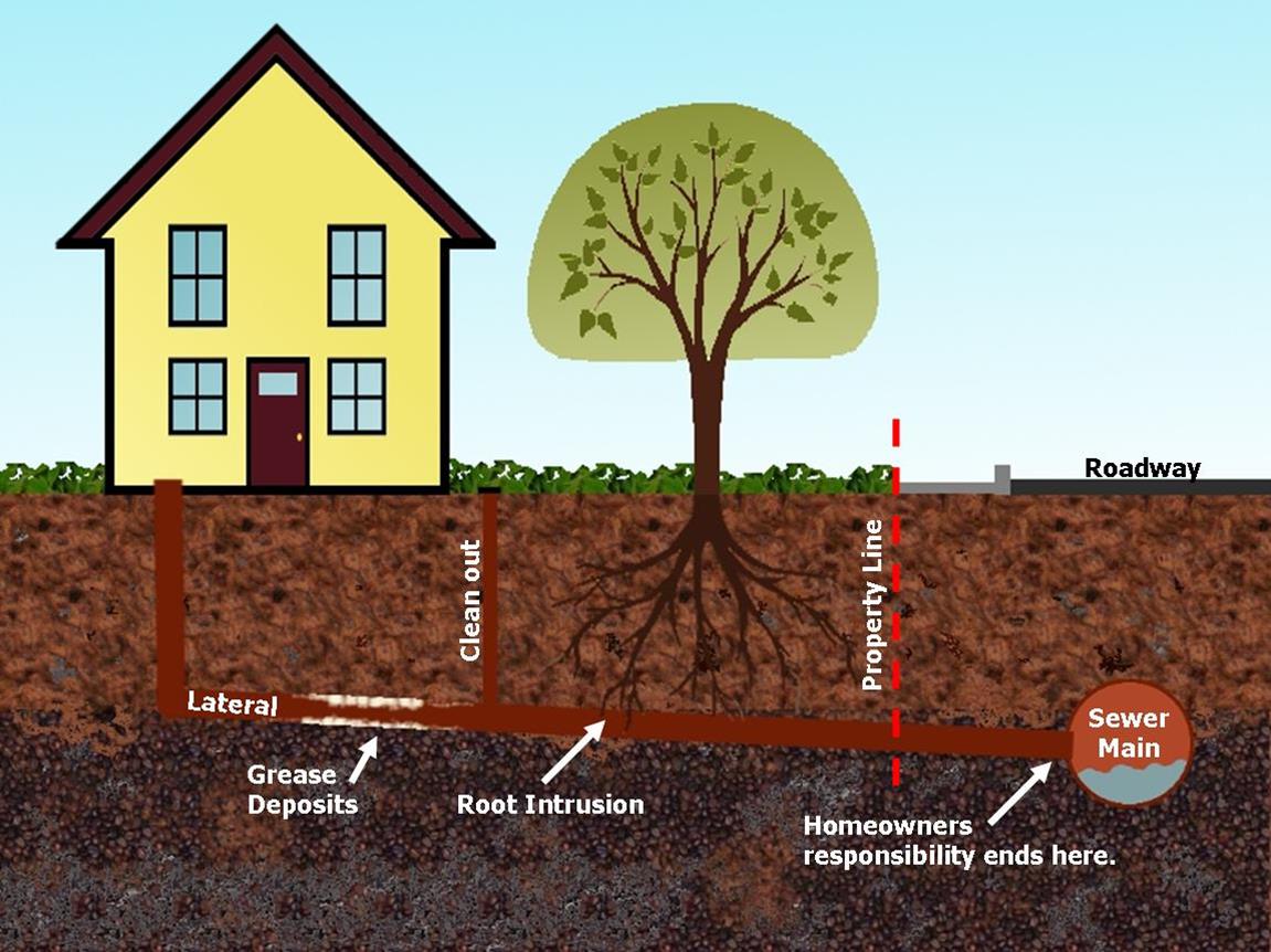 Sewer Responsibility Illustration