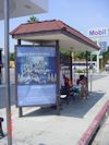 Advertising Bus Stop Shelter