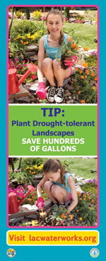 Native Plants Print Ad